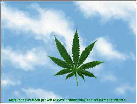 Cannabinatic Screensaver - Learn about the medicinal uses of marijuana